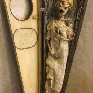 Legba dead coffin voodoo Ghost